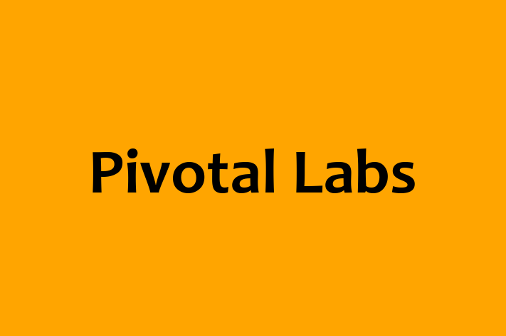 Software Development Firm Pivotal Labs