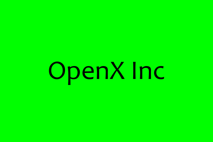 Software Development Firm OpenX Inc