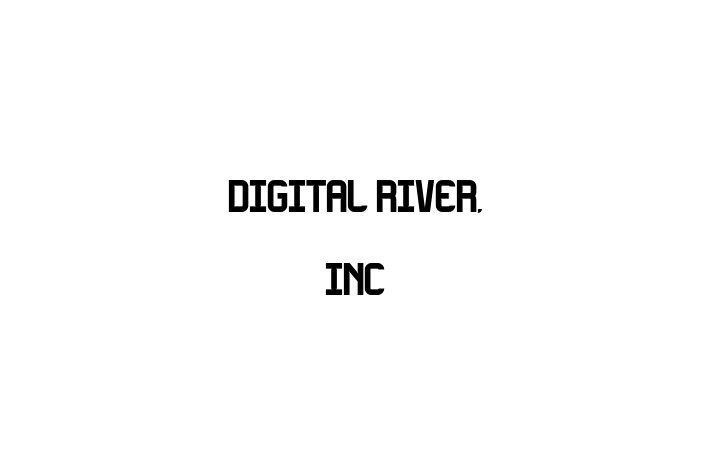 Software Development Company Digital River Inc