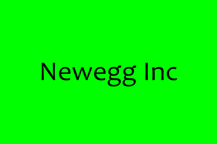 Digital Solutions Provider Newegg Inc