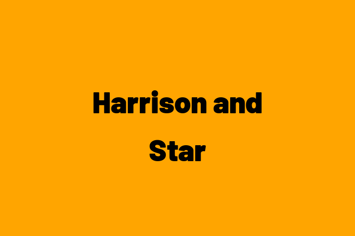 Software Services Company Harrison and Star