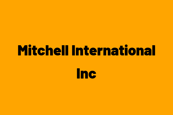 Software Development Firm Mitchell International Inc