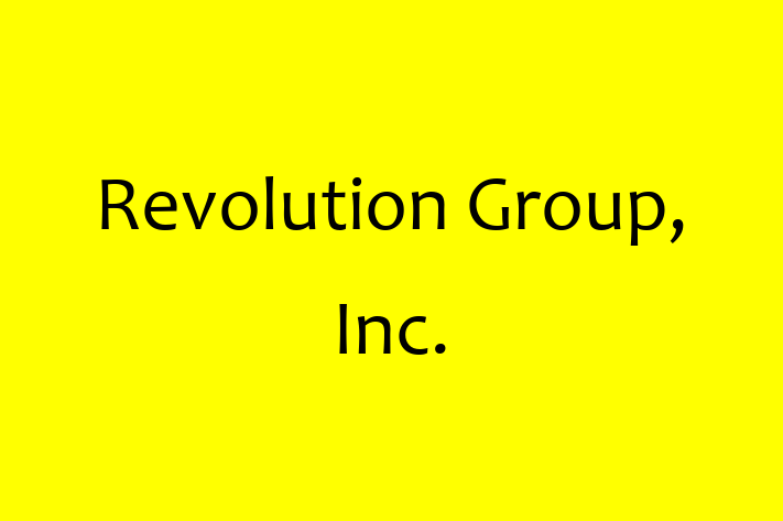 Technology Solutions Firm Revolution Group Inc.