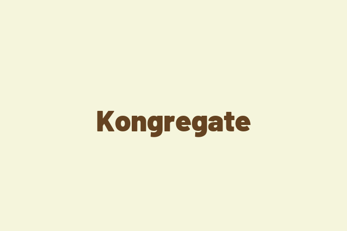 Technology Solutions Firm Kongregate