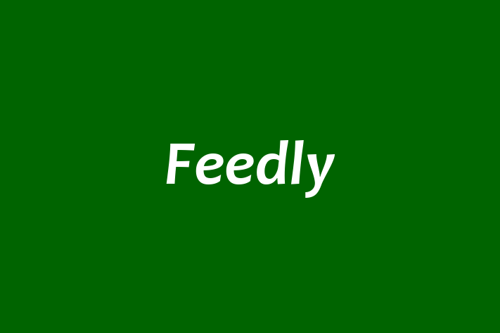 Software Development Company Feedly