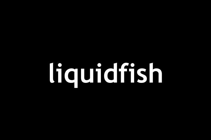 IT Company liquidfish