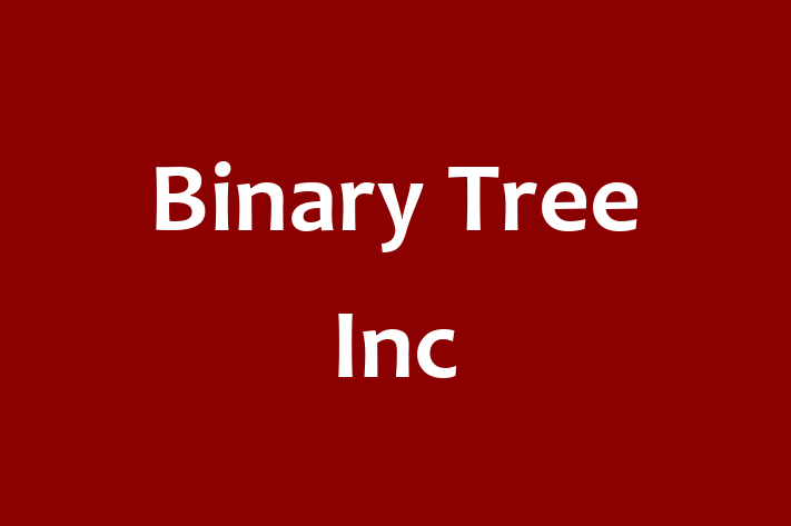 Digital Solutions Provider Binary Tree Inc