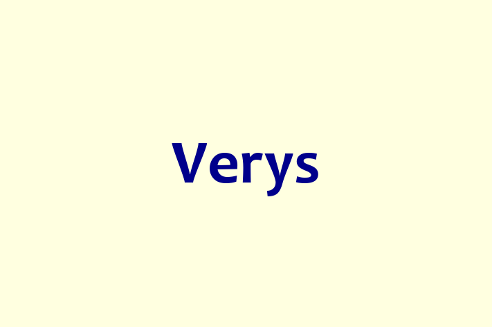 Software Consultancy Verys