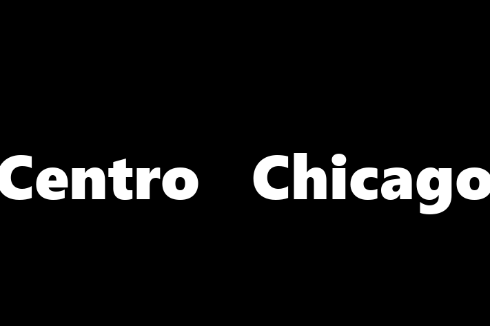 Software Solutions Provider Centro  Chicago