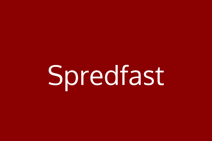 IT Company Spredfast