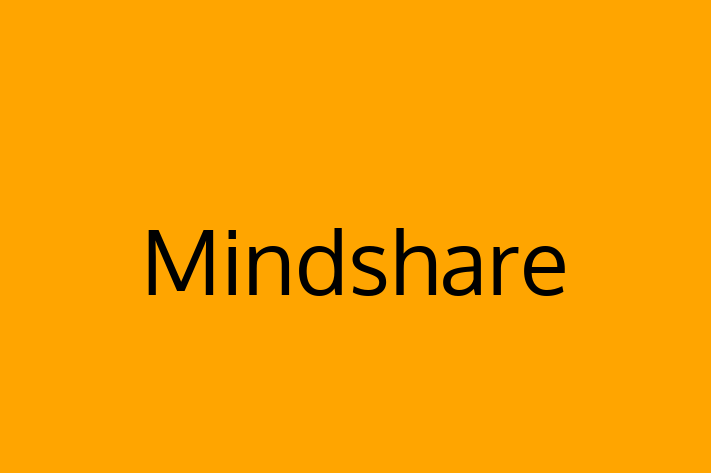 Digital Solutions Provider Mindshare