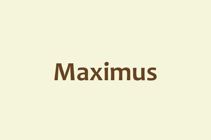 Personnel Management Maximus