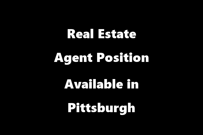 Real Estate Agent Position Available in Pittsburgh