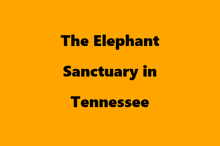 Tech Solutions Company The Elephant Sanctuary in Tennessee