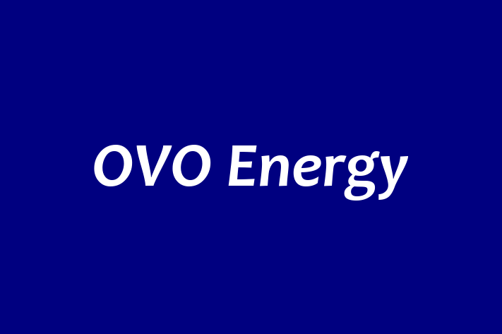 Digital Solutions Provider OVO Energy