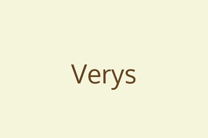 Technology Company Verys