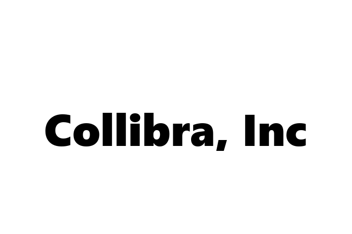 Technology Company Collibra Inc