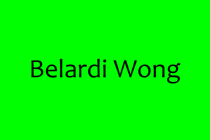 Technology Solutions Firm Belardi Wong