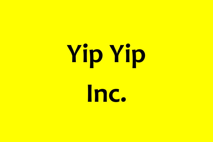 Technology Company Yip Yip Inc.