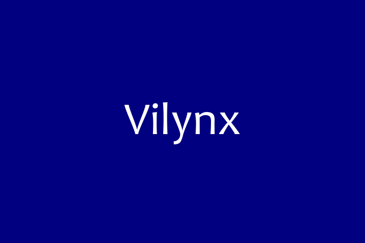 Technology Solutions Firm Vilynx