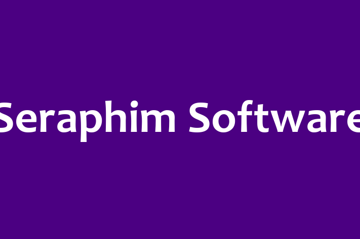 Software Engineering Company Seraphim Software