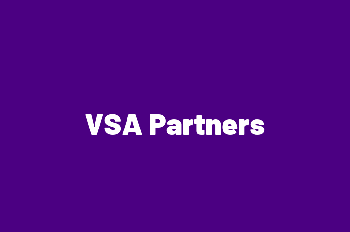 Software Development Firm VSA Partners