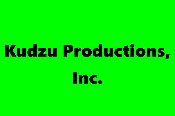 Software Solutions Provider Kudzu Productions Inc.