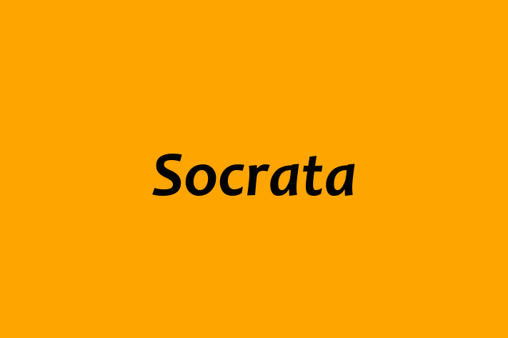 Software Services Company Socrata