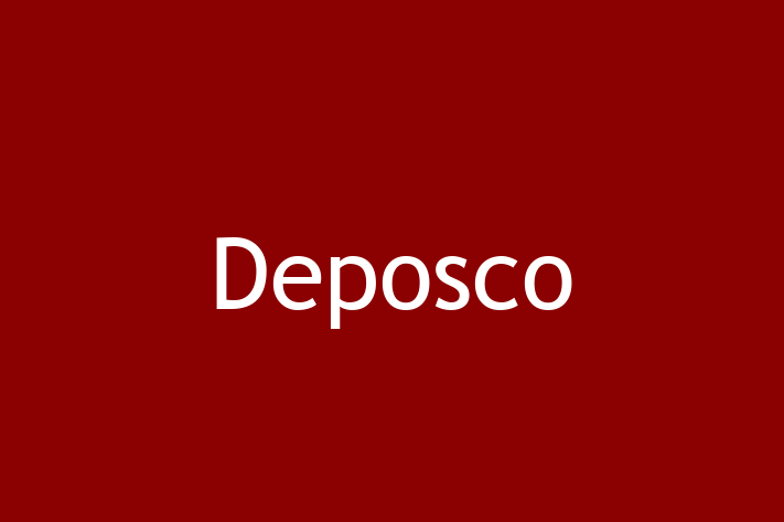 Technology Solutions Firm Deposco