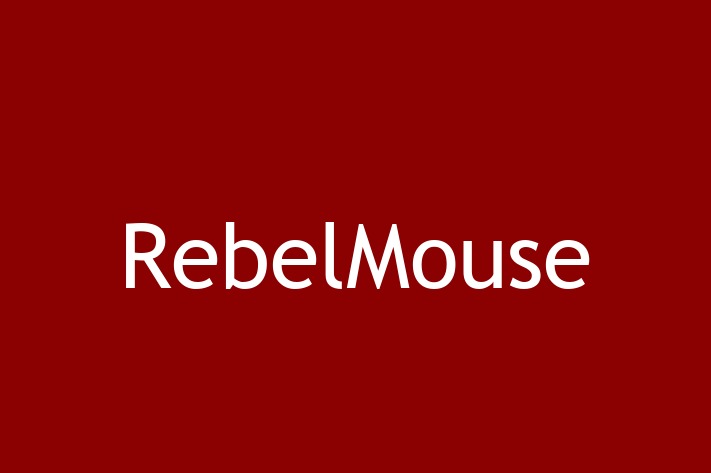 Digital Solutions Provider RebelMouse