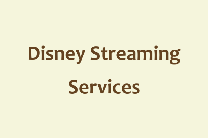 Employee Resource Management Disney Streaming Services