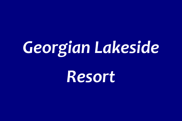 Labor Relations Georgian Lakeside Resort