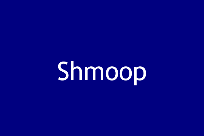 Tech Firm Shmoop