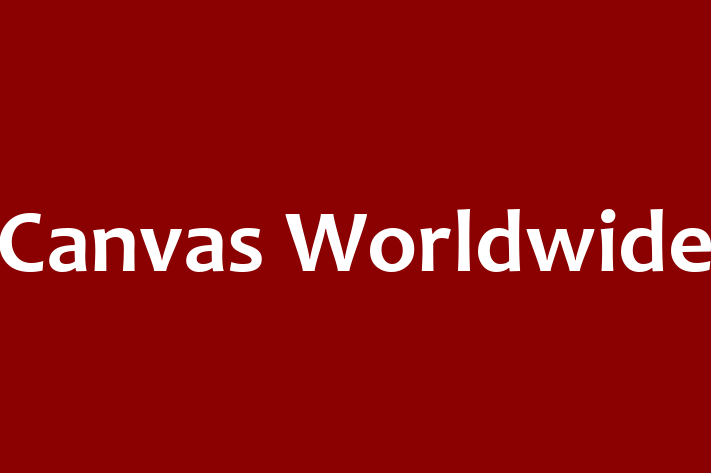 Software Consultancy Canvas Worldwide