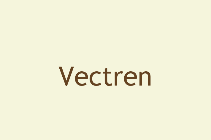 Technology Solutions Firm Vectren