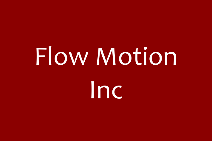 Software Firm Flow Motion Inc