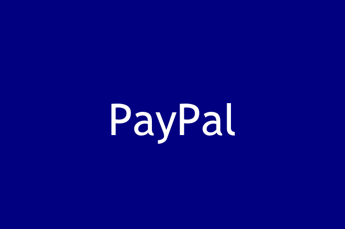 IT Company PayPal