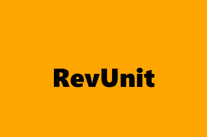 Technology Solutions Firm RevUnit