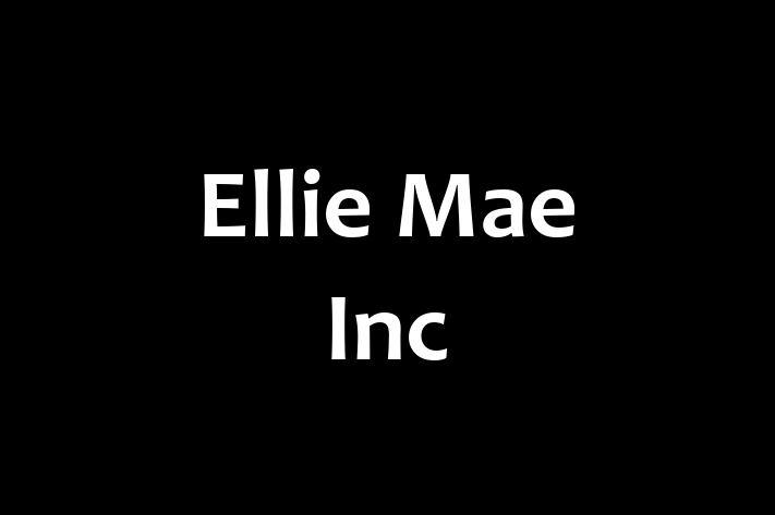 Technology Company Ellie Mae Inc