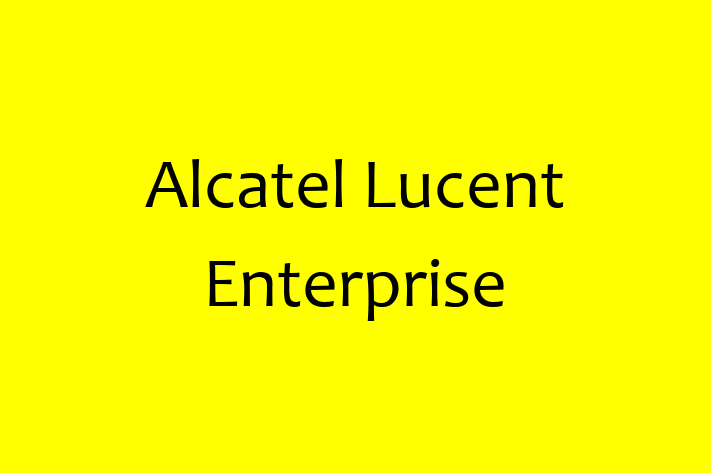 Software Engineering Company Alcatel Lucent Enterprise