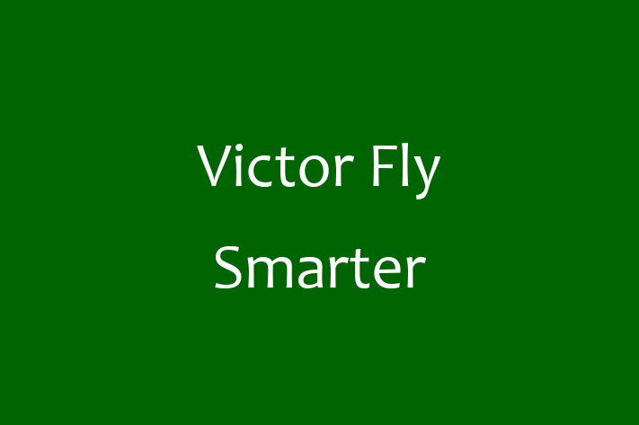 Digital Solutions Provider Victor  Fly Smarter