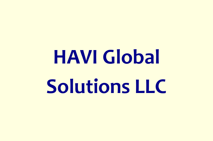 Software Services Company HAVI Global Solutions LLC