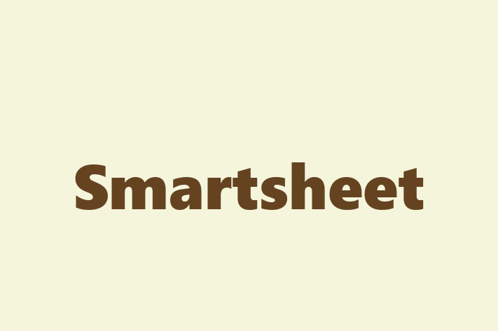 Application Development Company Smartsheet