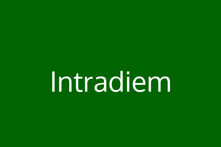 Tech Firm Intradiem