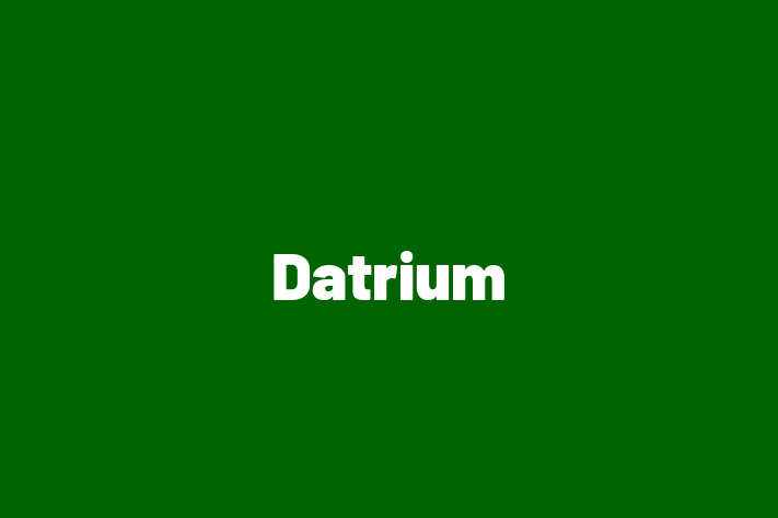 Software Engineering Company Datrium