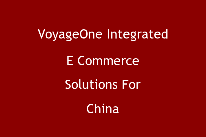 IT Company VoyageOne Integrated E Commerce Solutions For China