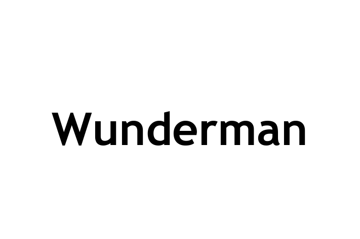 Digital Solutions Provider Wunderman