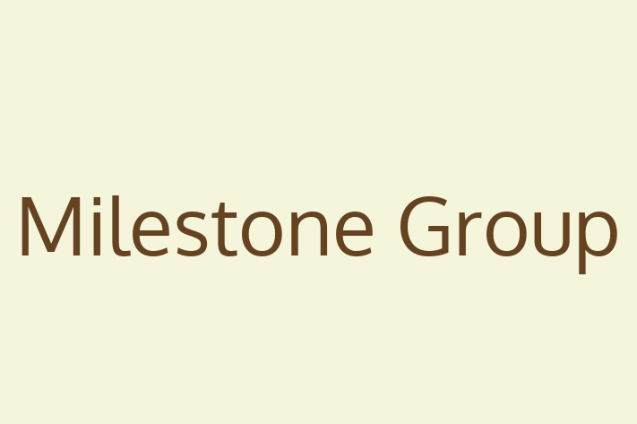 Software Development Company Milestone Group