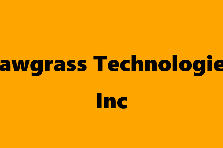 Software Services Company Sawgrass Technologies Inc