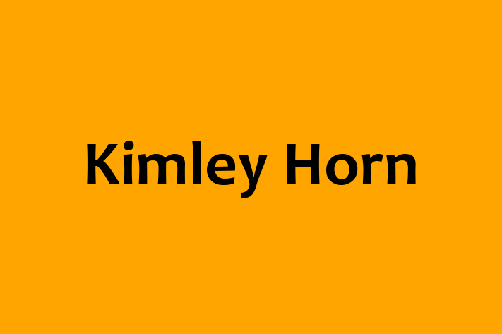 Talent Management Kimley Horn